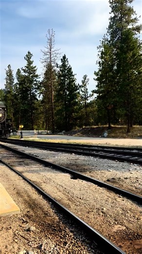 2.7K reactions · 24 comments | Wrapping up August on the rails! One scenic tour and two thrilling train robberies today made for a successful day ✨ | Kettle Valley Steam Railway | Facebook