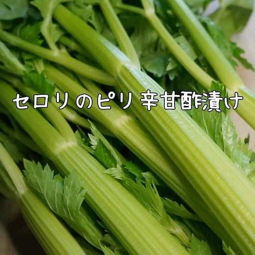 セロリのピリ辛甘酢漬けの作り方／ヘルシー材料のダイエットレシピ