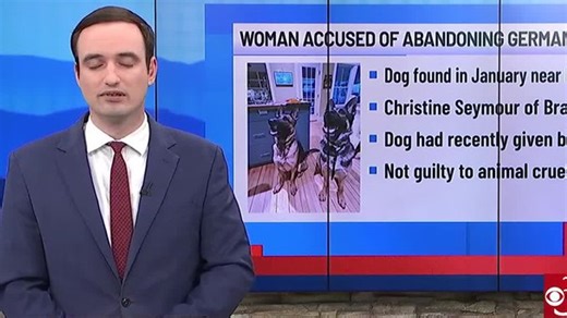 Woman pleads not guilty to animal cruelty charges in abandoned dog case | Haystack News