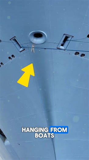 This innovative rat guard device prevents rodents from boarding boats, ensuring safety, cleanliness, and damage-free storage. Its smart, durable design blocks intruders before they reach your vessel. Ideal for marinas and boat owners, it enhances protection, reduces maintenance costs, and provides long-term peace of mind for marine environments. Credit : @IslandTides, @jasperedwards81, @braefox, @JanjangTangga, @mySWITEC, @critterguard, @noratsonboard7389 /YT #boat #tricks #tranding #technology 