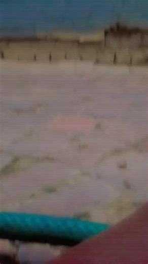 Mimi Dlamini (@minenhledlamini490)’s videos with original sound - lindani082