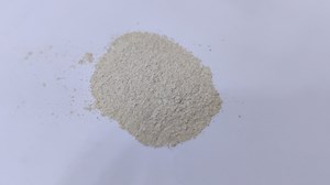 [Hot Item] Protease Enzyme for Animal Feed (Broiler, Layer, Breeder, Pigs and so on) Good Price