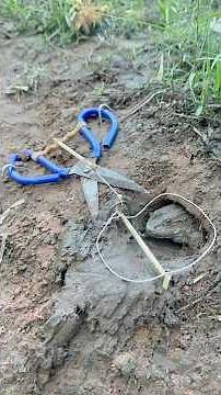 Amazing DIY Frogs Trap #shorts
