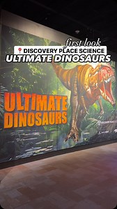 26K views · 23 reactions | Things to do with families in Charlotte:...