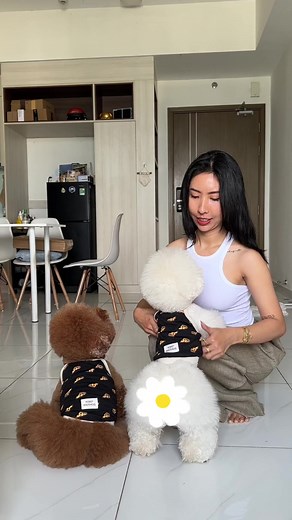 2M views · 69K reactions | Bánh Bao cũng có điểm đẹp ăn đứt Boo luôn nha mấy bà #changshugo #pet #cute #petlover #boo #banhbao | Chang Shu Gờ - Mẹ Boo Bánh Bao | Facebook