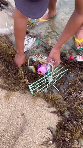 Finding Hidden Treasures and Sea Creatures Under Coastal Debris #fishing