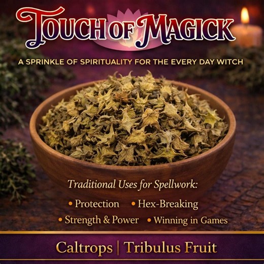 Caltrops | Puncture Vine | Tribulus Fruit | Dried | 0.5 Ounces | Traditional Herb Supplier & Manufacturer | Pagan | - Etsy