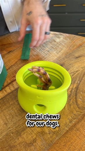 8K views · 52 reactions | The BK Pets on Reels | Facebook