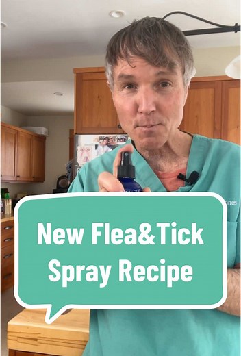 Safe Homemade Flea and Tick Spray Recipe for Dogs