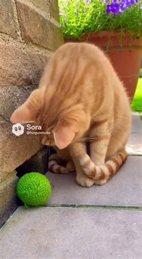 “Cutest Animals Ever 🐱🐭 | Funny & Adorable Pet Clips Compilation”