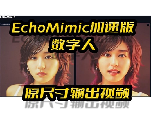 EchoMimic_acc加速整合包0728,原尺寸输出,音频接口,音频列表,唇形同步,唇形合成,数字人,音频驱动图片,阿里蚂蚁团队开源