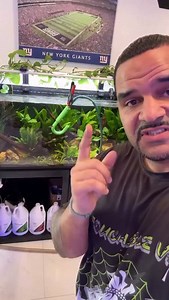 712 reactions · 12 shares | The planted tank is turning out to be a...