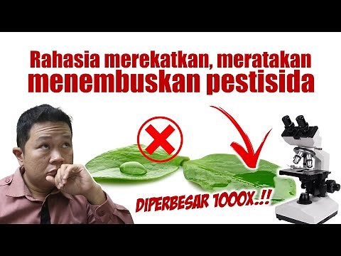 RAHASIA MEREKATKAN, MERATAKAN DAN MENEMBUSKAN PESTISIDA