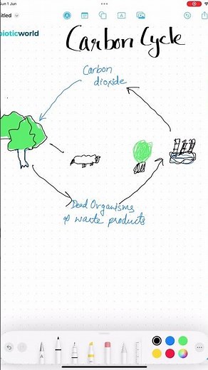 🌍 The Carbon Cycle Explained: Nature’s CO₂ Balancing Act ♻️