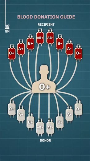 MAKE AMERICA HEALTHY AGAIN on Instagram: "Want to unlock the secret to better health based on your blood type? 🅰️🅱️🆎🅾️ Your blood type reveals what you should be eating and how to live your healthiest life! 🌟 Drop your blood type in the comments and follow us for more tips. Ready to dive deeper? Subscribe to our page for exclusive content and personalized insights—plus, get your copy of our Blood Type Diet book today! 📚✨ Access it through our page! #BloodTypeDiet #HealthyLiving #Personaliz