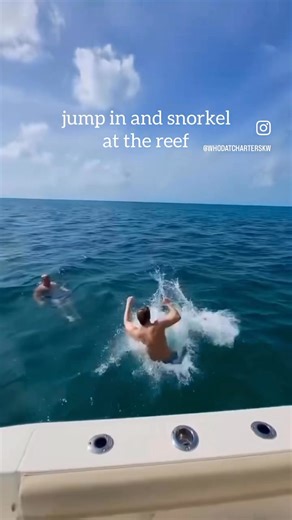 33K views · 323 reactions | Sandbar days are the best days in the #FloridaKeys! : Who DAT Charters ️ | The Florida Keys & Key West | Facebook