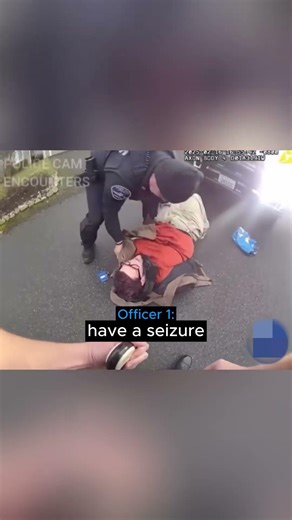 Fake UPS Driver Arrested