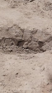 16K views · 11 reactions | Hack to Fix Concrete Hole! | Earth Wonders | Facebook