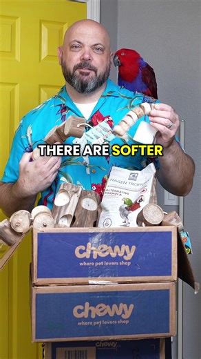 Pro-Tip: Try soft wood toys to encourage new enrichment activity! Found on @Chewy #ad #ChewyPartner #BirdToys #Parrotlife