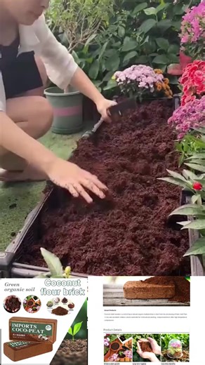 Coco Peat: The Ideal Organic Soil for Gardening