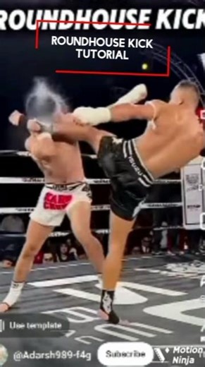 #Roundhouse kick Tutorial