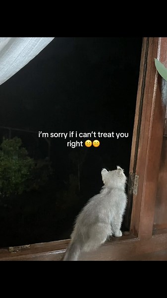 Understanding the Meaning Behind Saying I'm Sorry