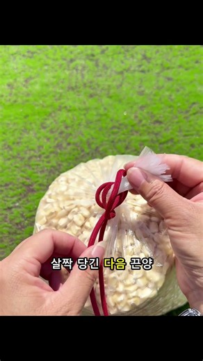 비닐봉지 입구 짧을 때 쉽게 묶는 꿀팁! 🎈