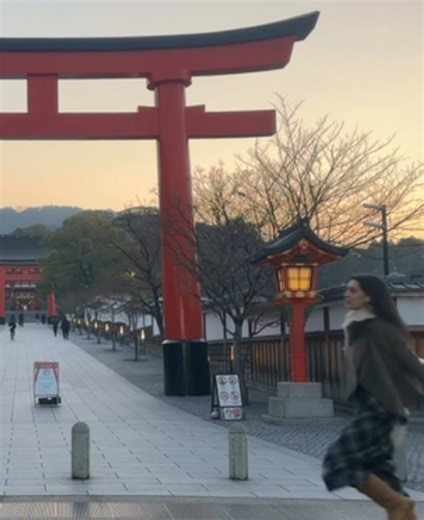 Your Ultimate Guide to Traveling Solo in Japan