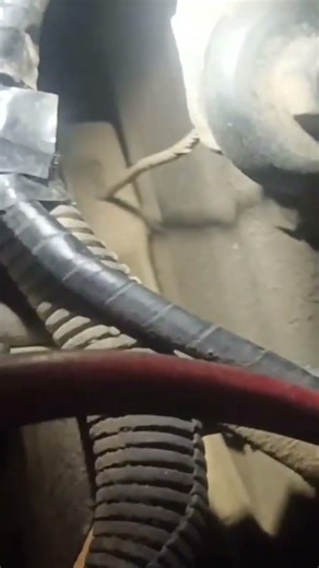 Así te das cuenta si tú clutch está gastado #mecanica #clutch automotor