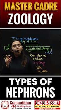 👉 Types of Nephrons Explained 🔥 | Master Cadre Zoology | Important Biology Topic | Competition Guru