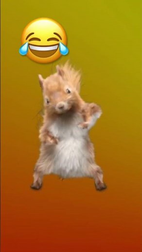 8 de noviembre de 2025