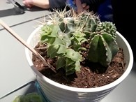 Samsung Galaxy Note II Review