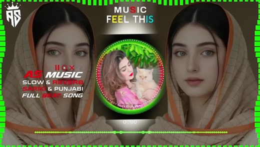 Exploring the Richness of Saraiki Culture Through Music