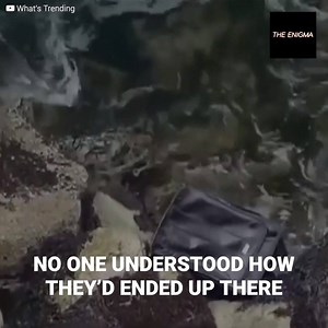 935K views · 9K reactions | What seemed like a normal day at the beach ended up becoming... the worst experience of their lives. Some youngsters from Seattle went out for a walk to record TikToks, but the fun soon turned to horror when they made an incredible find. It was a suitcase on the edge of the rocks with a mysterious, smelly black bag. What was in there? The contents shocked them... | The Enigma | Facebook