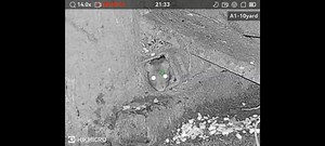 2.3M views · 39K reactions | Reducing rodent at a small piggery! Over...