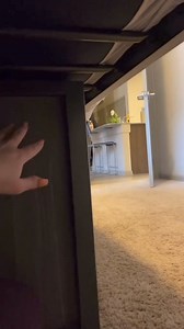 652K views · 11K reactions | scare_pranks_usa - #scarecam #scareprank #scarepeople #prank #funny #funnyprank #jumpscare #scaring #jumpy #viral #haha #trending #fyp.mp4 | Scare pranks usa | Facebook