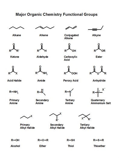 Organic Chemistry 101: Nomenclature
