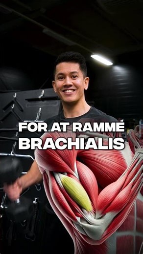 Sådan får du større biceps med håndvægte