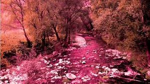 Red River Rock - The Shadows  Style - Played by:  Giorgio Zizzo Chords - ChordU