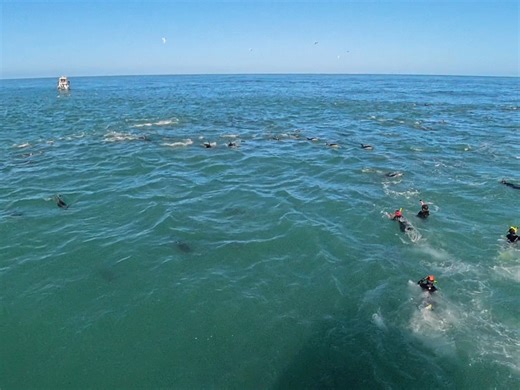 【Hoooerrr】最新视频来袭，快来看看吧！