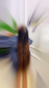 ✨BONE STRAIGHT ✨Inadumu miezi 2, ✨zipo za rangi tofautitofauti Karibu tena chaurembo Salooni ipo Moshi mjini ❤️ Laki 1 na 30 kila kitu kwangu Tupo jengo la kibotower floo ya 2 Chumba no:201 )Ester saloon @esta.cosmetics 0712782591,0786337030,0763123537 #atlhair #atlnailtech #atlhairstylist #atlmua #butterflylocks#passiontwist #cornrows #fauxlocs #natural #naturalhair #twiststyles #flattwist #threading #africanhairstyles #africanhairbraiding #kinkyhair #kinkystyles #twiststyles #cornrows #springt