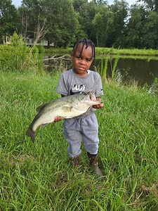 Hawg hunting with Junebug 🖤🔥🎣🪓🪵‼️ #CRAPPIECASKET #TEAMDANDD #crappie #fishing #BASSFISHING #LEWSFISHING #HAWGHUNTIN #mississippi #k9fishing #bayoucustombaits #bnmpoles #Arkansas #rangerboats #mississippi #slab #fyp #foryou #viral #fishtok #anglers #veterans #memphis #tennessee #takeakidfishing #summer #bite #bigfish | Derrick Stokes