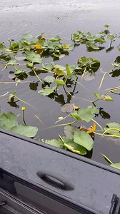 2.3K views · 1.7K reactions | We tell all our secrets! #lakekissimmee #panfishing #Specks #sacalait #bluegill #fishing #florida #crappie #shellcracker #floridafishing K9 Fishing Products Flop Industries Everlasting Slip Bobber | Branden Scott | Facebook