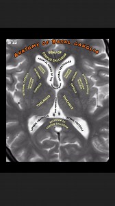 276 reactions · 74 shares | Master the Core of Movement Control –...