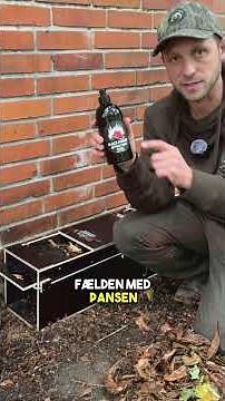 Fanget en husmår