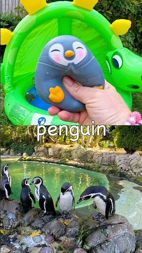 Kids Learn | Animal Names at the Dino Pool: Penguin Okapi Platypus Moose Dog