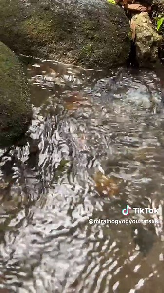 #移住 #島原観光 #長崎観光 #南島原市 #南島原観光