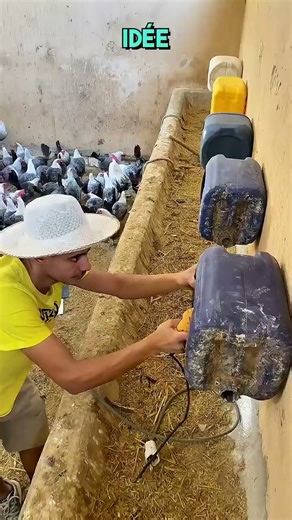 Genius Idea! Turning Old Plastic Into Productive Laying Hens — Start Poultry Farming Easily