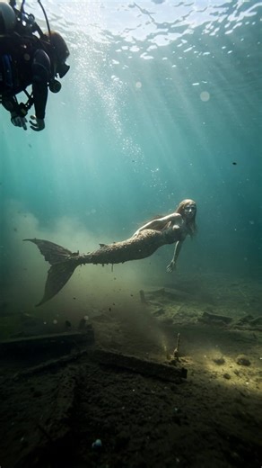 Diver’s camera captures alien underwater part120 #mermaid#gorgon#find#horrormovie#scary#alien#underwaterwelding#diver#camera#creature #reef#coral#fish#depth#terrifying#mystery#fear#spookytok#paranormal#darkness#ocean#eerie#thriller#sinister#abyss#monster#nightmare #chills#horrorfilm#suspense#haunting#unseen#unknown#fearful#supernatural#ominous#deepsea#haunted#dread#mysterycreature#exploration #darkvibes#horrorstory#scarycreature#divershands#gold#digge