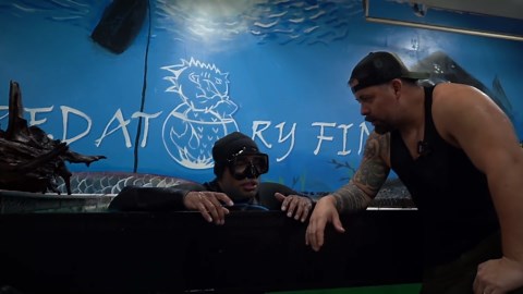 What’s Inside a 5ft Catfish? Emergency Rescue Before Surgery